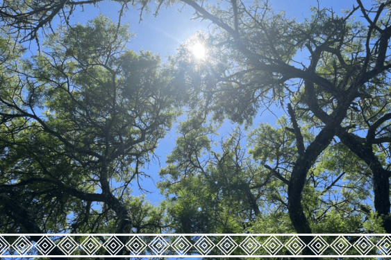 A New Year Message: Why Join Me?