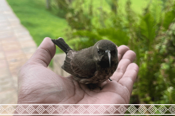 The Year 2025 in Lessons